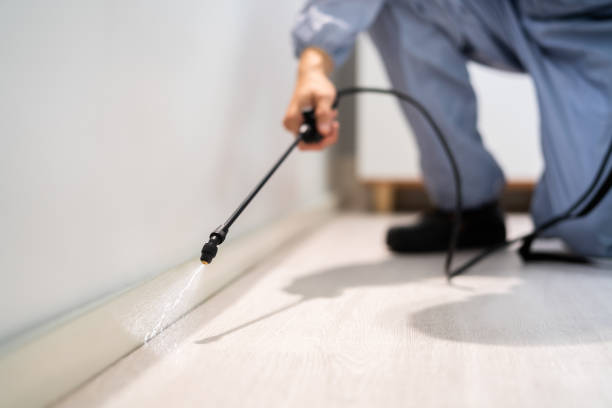 Bed Bug Pre-Treatment Preparation Assessment in Audubon Park