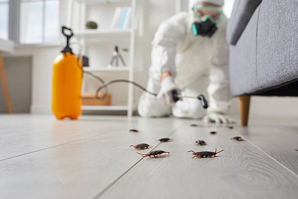 Post-Treatment Bed Bug Interceptor Monitoring in Audubon Park