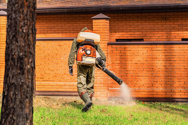 Bed Bug Clearance Verification and Documentation in Audubon Park
